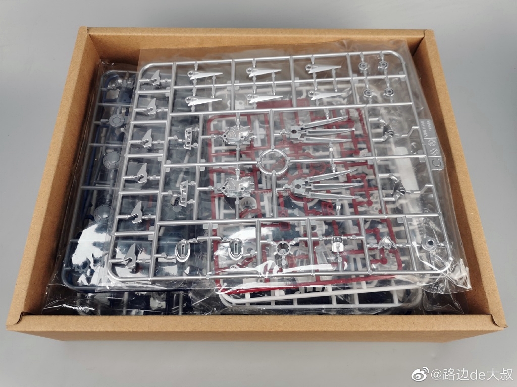 [PO]1/60 CAT-01[XIAOT]