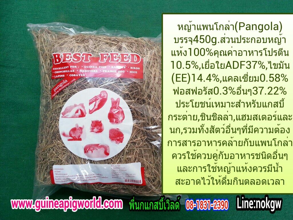 หญ้าแพนโกล่า ขนาด 450 กรัม