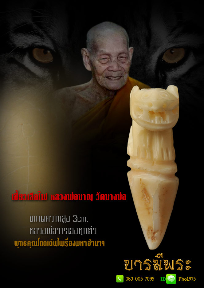 เขี้ยวเสือไฟ หลวงพ่อชาญ วัดบางบ่อ จ.สมุทรปราการ ขนาดความยาว 3cm. สวยหลวงพ่อจารเองทุกตัว พุทธคุณโดดเด่นในเรื่องมหาอำนาจ และแคล้วคลาดปลอดภัย สวยสะสมไม่ผ่านการใช้