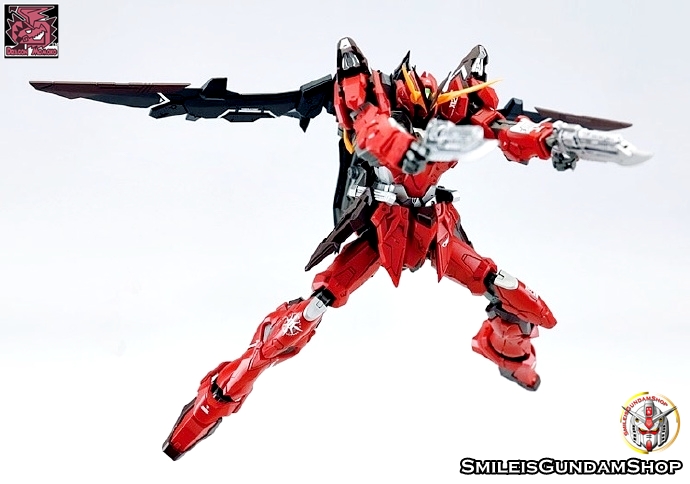 [PO]MG 1/100 ZGMF-X12A Testament[โมจีนMomoko]