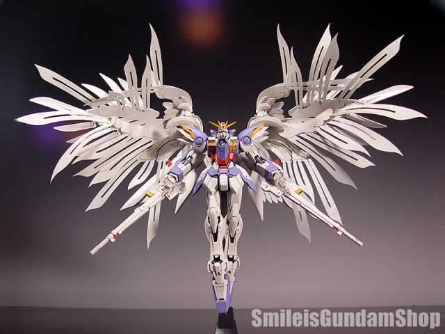 1/100 Special Part of Wing Custom Zero[PVC][พาสเสริม]