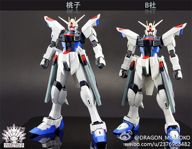 MG 1/100 ZGMF-X10A Freedom Gundam [โมจีนMomoko]
