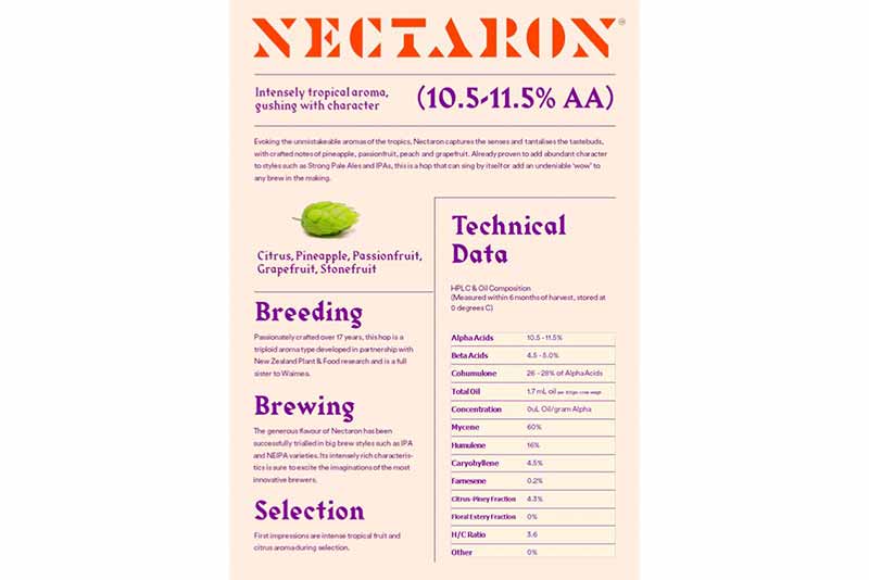 Nectaron NZ Hop Pellets T-90