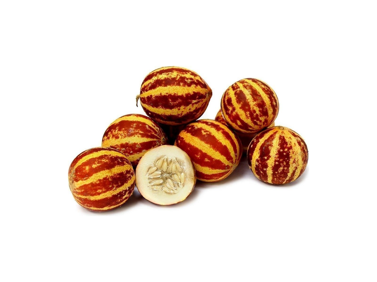 แตงกวา อาร์เมเนีย หรือ แตงเสือ (Tigger Melon)