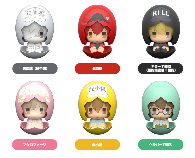 เปิดจอง Piyokuru: Cells at Work! 01