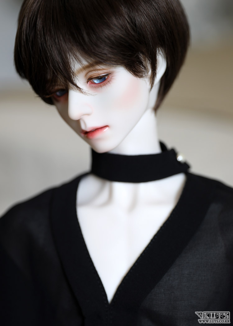 Super Senior Delf HALO