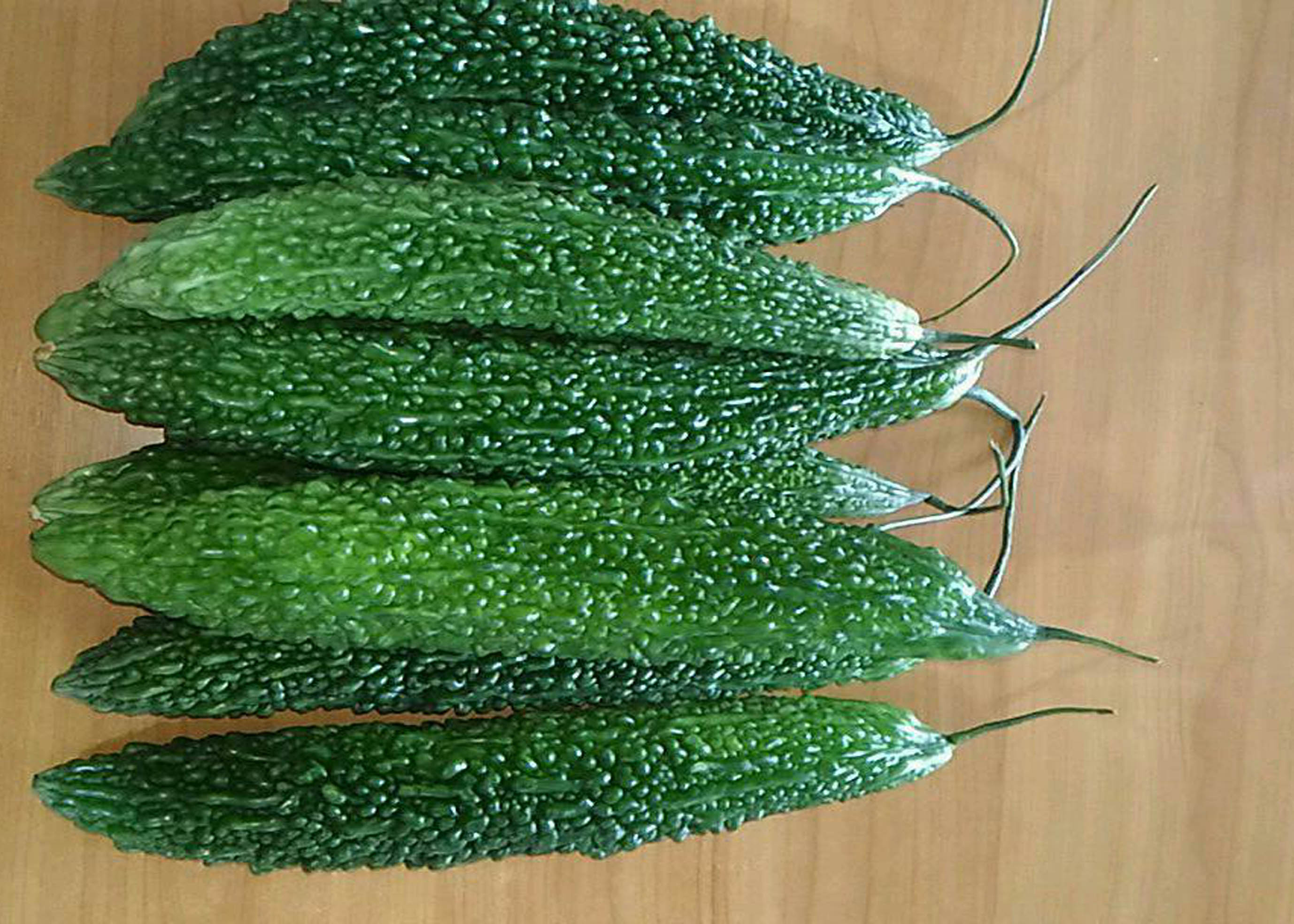 มะระหวาน นิงาตะ OP