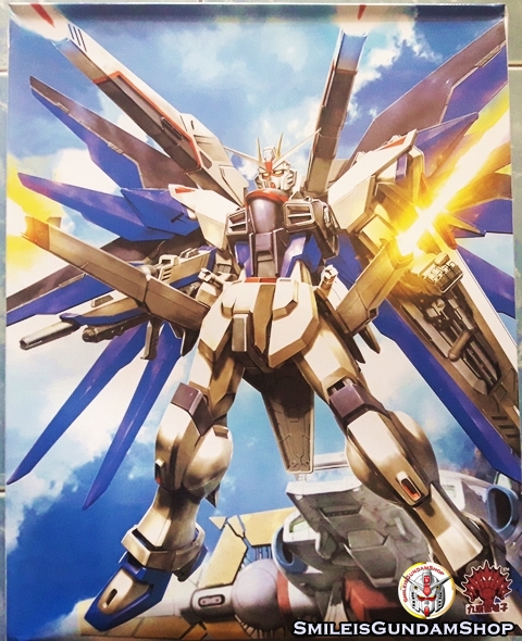 MG 1/100 ZGMF-X10A Freedom Gundam [โมจีนMomoko]