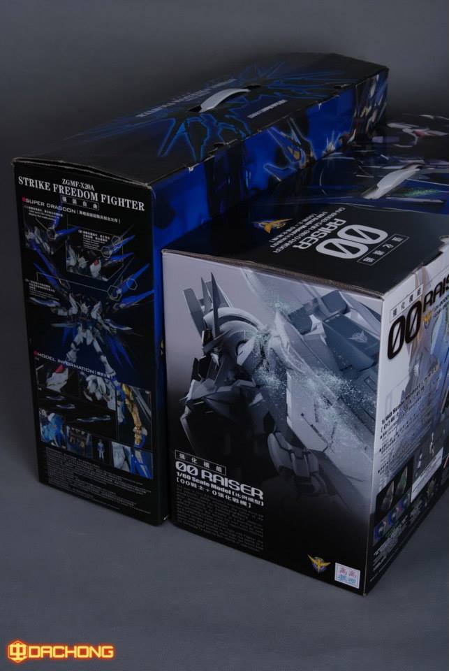 [PO]PG 1/60 OO Raiser [โมจีนTT]