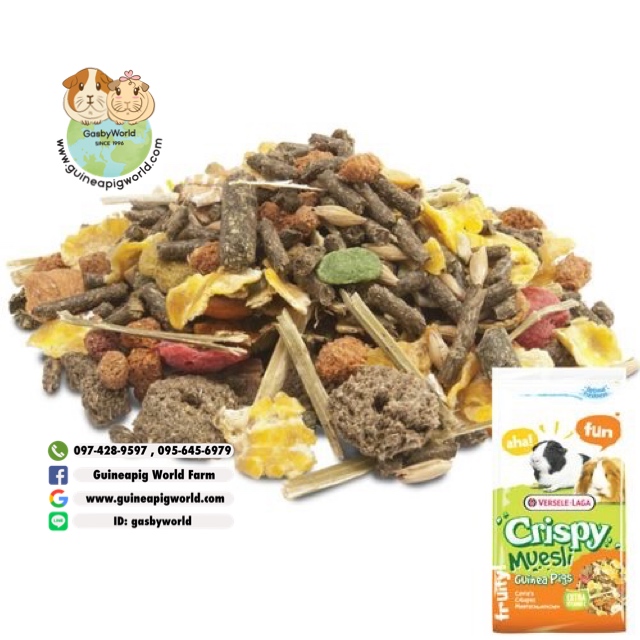 Crispy Muesli Guinea Pigs <<อาหารแกสบี้รสชาติแสนอร่อย อุดมด้วยไฟเบอร์สูง สูตรมูสลี่กรุบกรอบ เต็มอิ่มกับหญ้าไฟเบอร์สูงรสชาติหอมอร่อยแบบเต็มๆ ธัญพืชอบกรอบนานาชนิด เติมเต็มกับรสชาติแสนอร่อยจากผักผลไม้สดหลากหลายชนิด