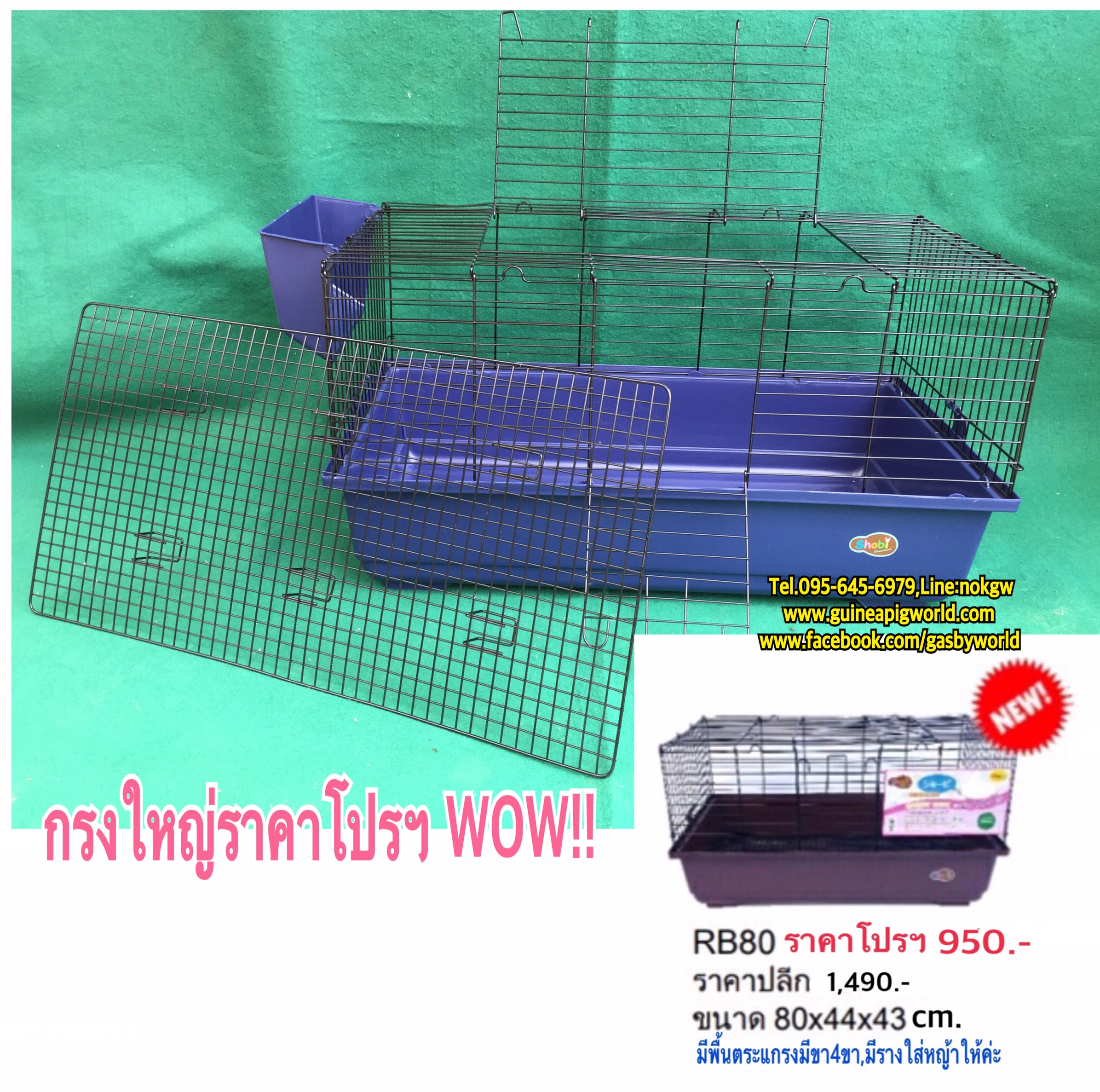 กรงใหญ่ ขนาด 80x44xh.43cm.ถาดหนาเนื้อเหนียวสูงกันฉี่กระเด็น มีตระแกรงหนามีขาสูง มีรางใส่หญ้า มีประตูหน้า ประตูบนใหญ่