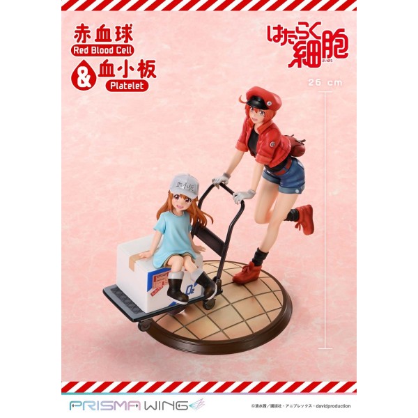 เปิดจอง : PRISMA WING Red Blood Cell & Platelet