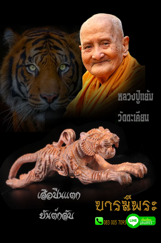 เสือรุ่น7 เสือปืนแตกยันต์กลับ หลวงปู่แย้ม วัดตะเคียน เนื้อทองแดงพิมพ์ใหญ่ ปลุกเสกพิธีใหญ่ ฉลองอายุครบ 8 รอบ บารมี 96 พร้อมคาถา ปลุกเสือ สภาพสวยสะสม ไม่ผ่านการใช้
