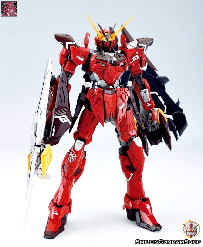 [PO]MG 1/100 ZGMF-X12A Testament[โมจีนMomoko]