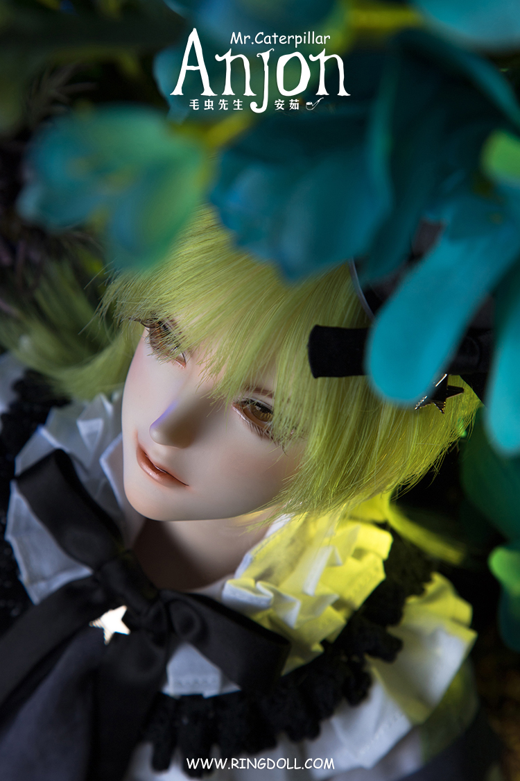 Mr. Caterpillar Anjon