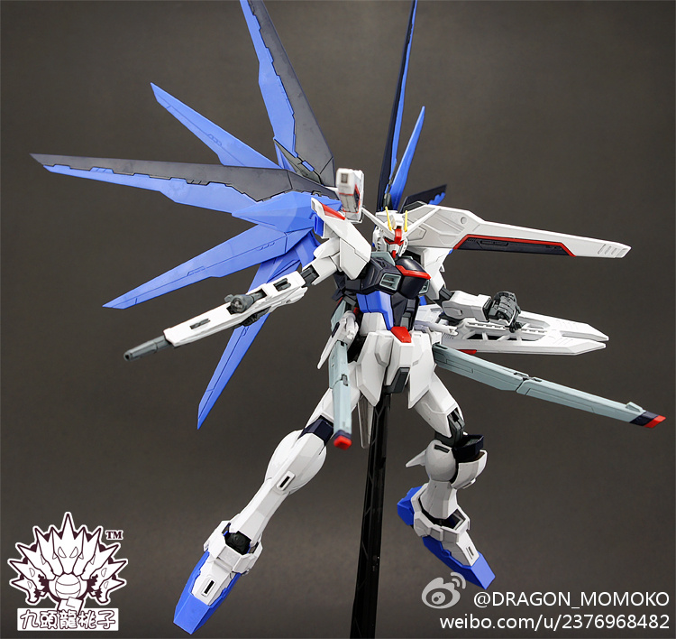 MG 1/100 ZGMF-X10A Freedom Gundam [โมจีนMomoko]