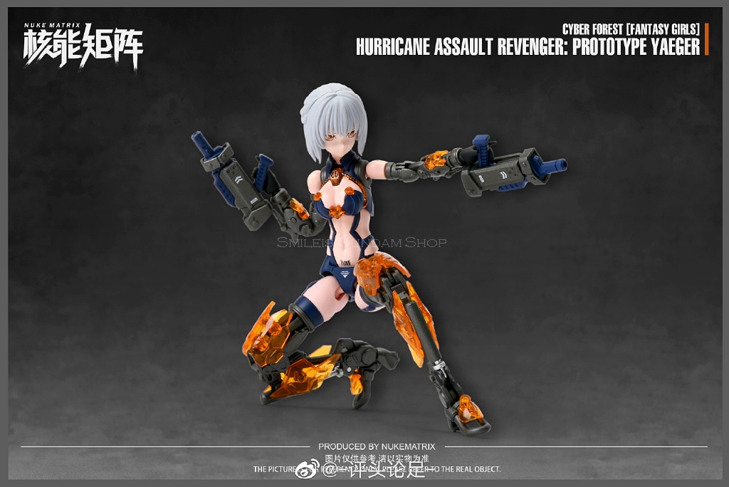 [PO]1/12 Hurricane Assault Revenger[Nuke Matrix]