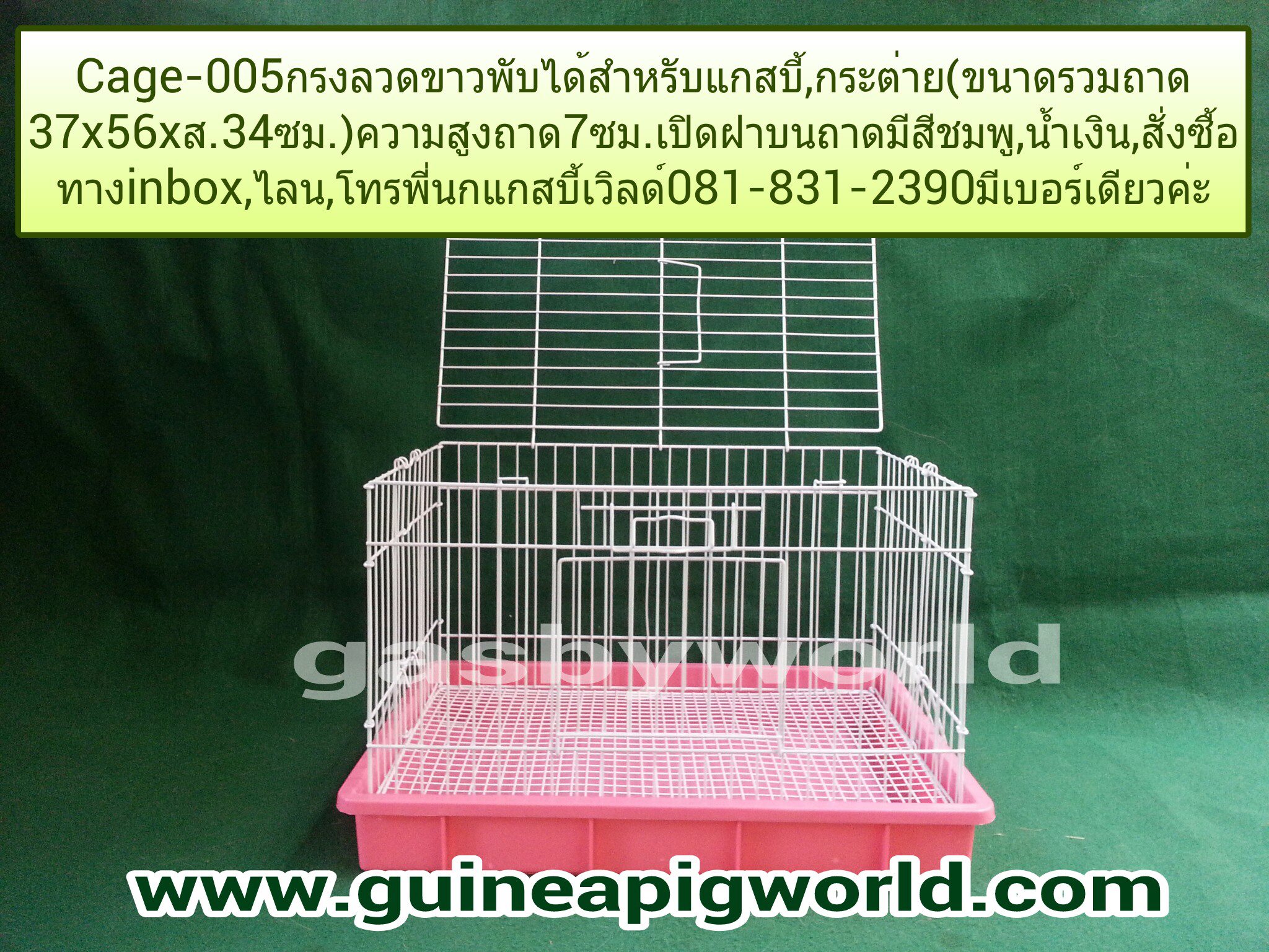 กรง Cage-005