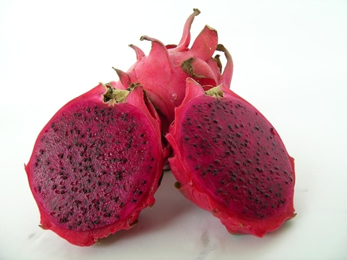 เมล็ดแก้วมังกรแดง ไต้หวัน Red dragon fruit From Taiwan