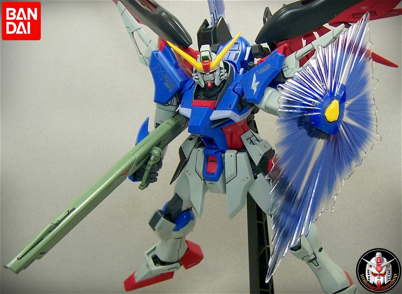 [PO]MG 1/100 Destiny Gundam[BANDAI]