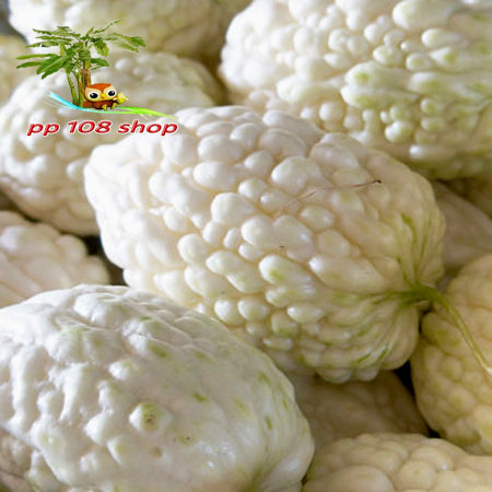 มะระหัวใจ-ขาว