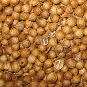 Coriander Seed Whole 25g