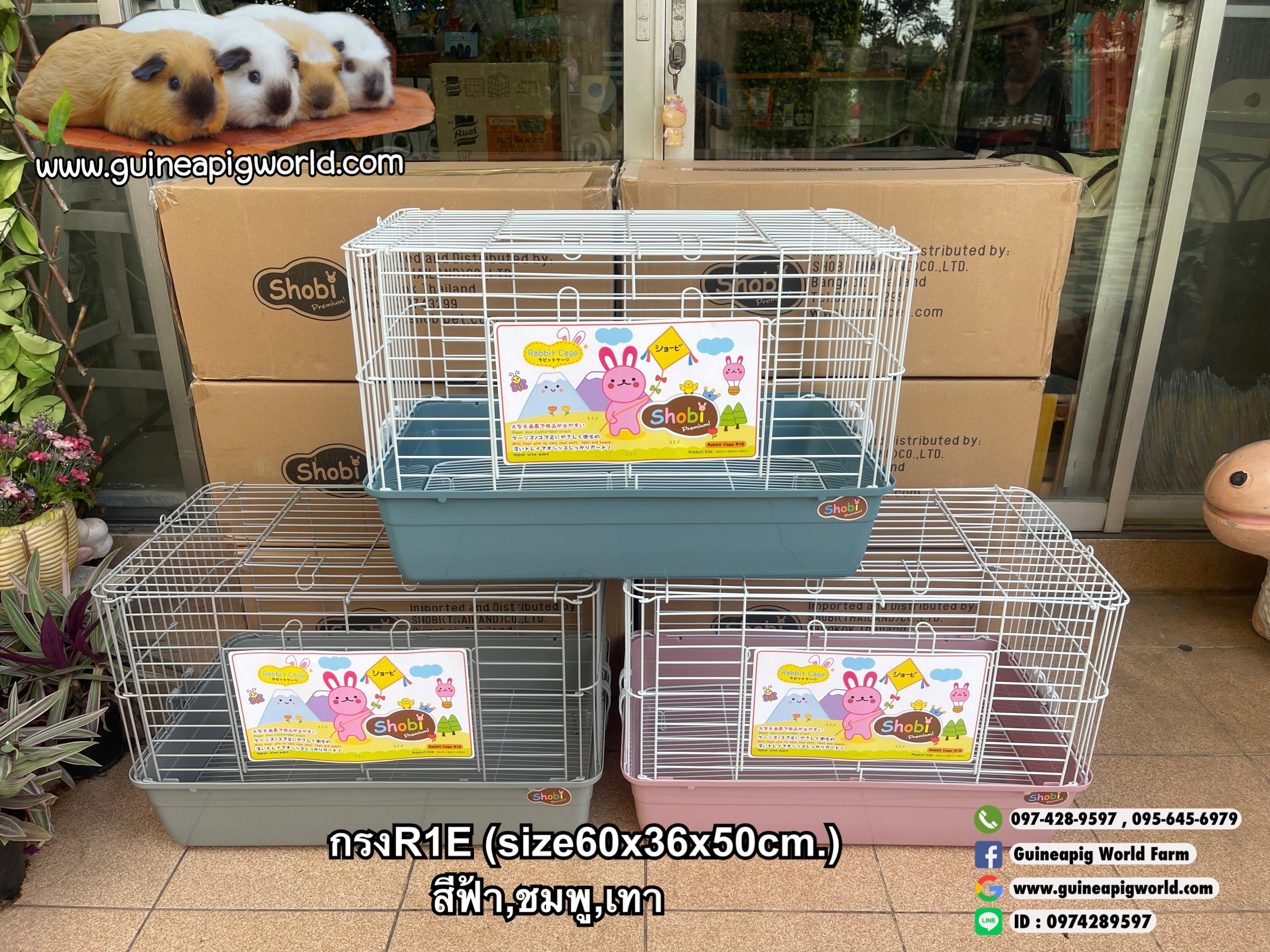 R1E กรงโชบิพับได้(Size60x36x40cm.)มีสีฟ้า,ชมพู,เทา/ราคาต่อใบ/เหมาะสำหรับเลี้ยงสัตว์ขนาดเล็ก