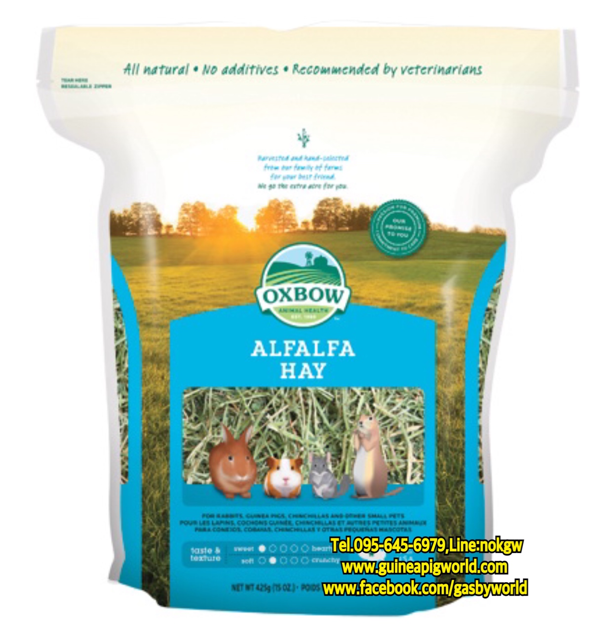 Alfalfa Hay Oxbow 15oz. เป็นหญ้าแห้งที่คัดคุณภาพนำเข้าสำหรับสัตว์เล็กกินพืช เช่น แกสบี้ กระต่าย ฯลฯ ตั้งแต่แรกเกิด ถึง 6 เดือน หรือสูงวัยให้กินบ้างแทนขนม