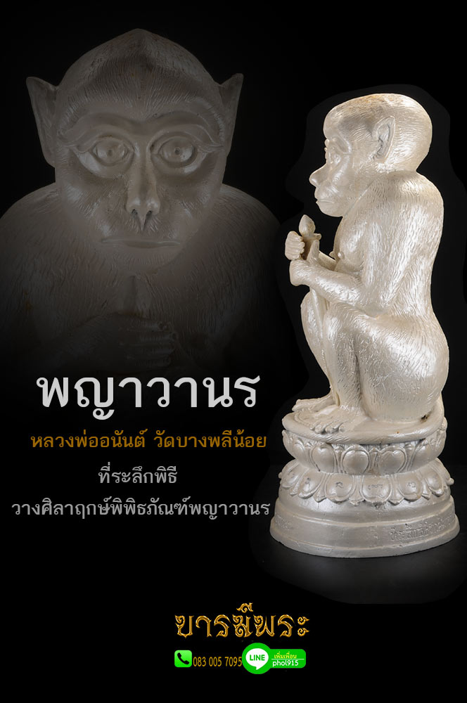 พญาวานร หลวงพ่ออนันต์ วัดบางพลีน้อย สีขาวมุก โค๊ตหมายเลข ๑๔ ที่ระลึกพิธีวางศิลาฤกษ์พิพิธภัณฑ์พญาวานร วัดบางพลีน้อย ขนาดสูง16นิ้วฐาน7นิ้ว พุทธคุณองค์พญาวานร ของหลวงพ่ออนันต์ ดีทางด้าน แคล้วคลาด เมตตา ค้าขาย สภาพสวยสะสม ไม่ผ่านการใช้