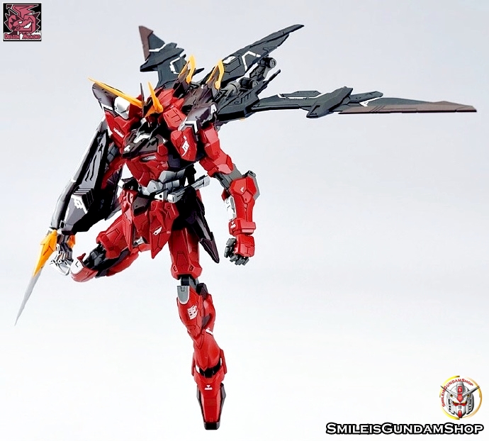 [PO]MG 1/100 ZGMF-X12A Testament[โมจีนMomoko]