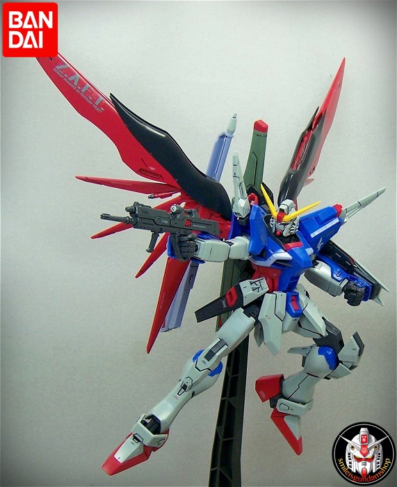 [PO]MG 1/100 Destiny Gundam[BANDAI]