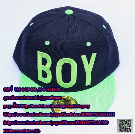 หมวกแก๊ปฮิปฮอป แฟชั่น Paisley Snapback Adjustable Baseball Cap