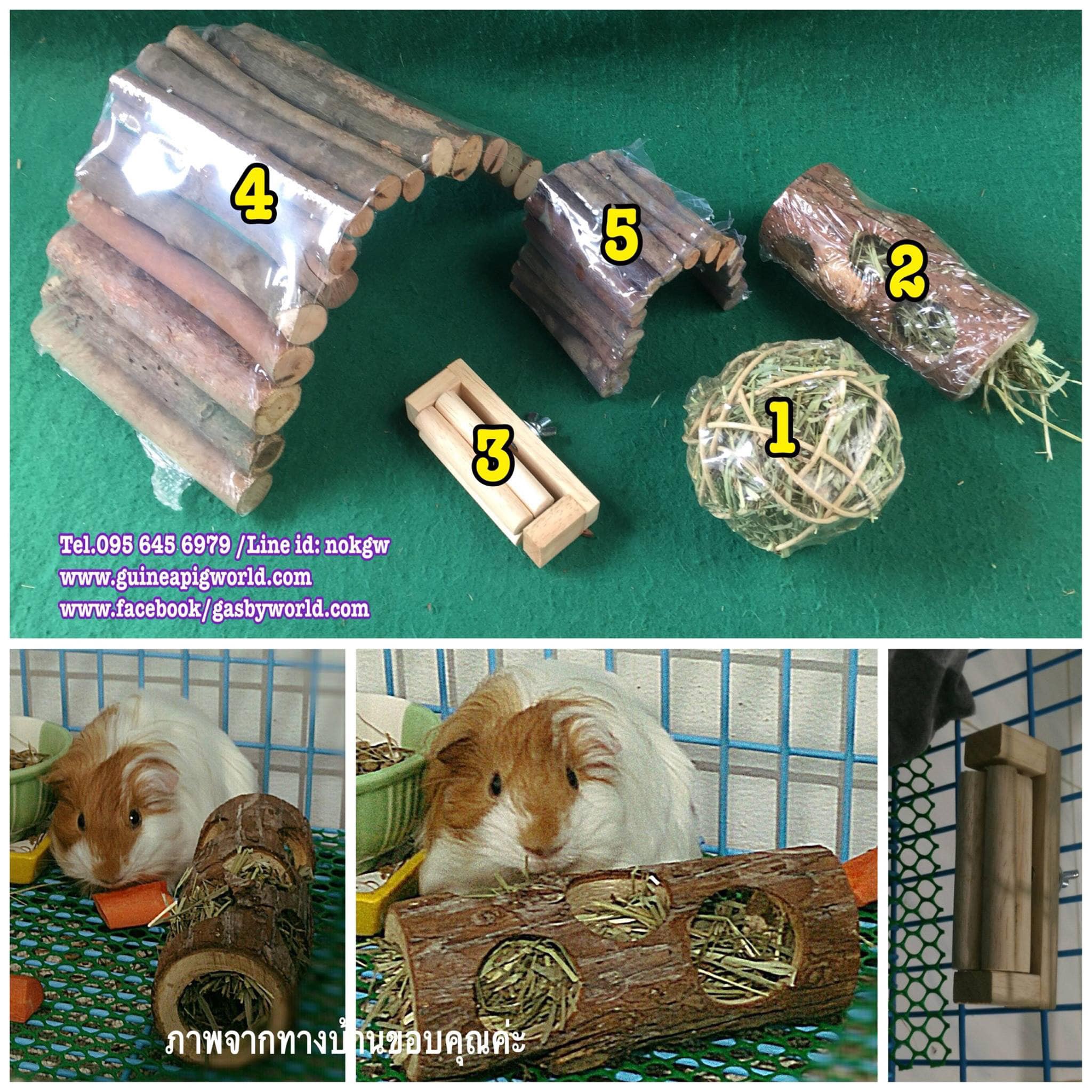 ท่อนไม้แอปเปิ้ลนำเข้า(ราคาต่อชิ้น)ใส่หญ้าแห้ง ไว้กัดแทะลับฟัน สำหรับสัตว์เลี้ยงขนาดเล็ก แกสบี้ ชินชิลล่า กระต่าย แฮมสเตอร์ ฯลฯ