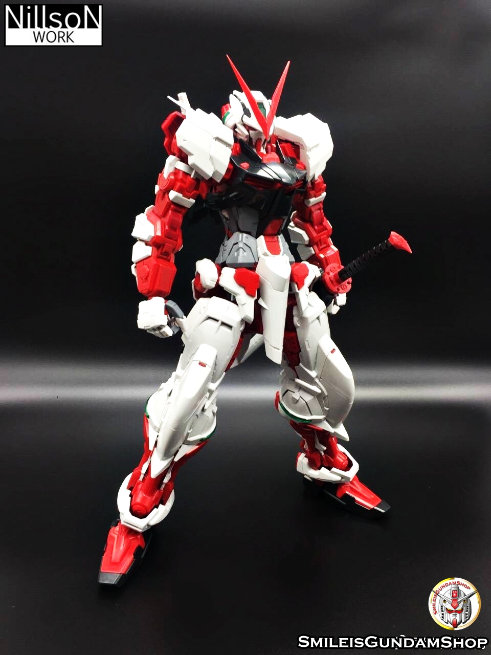 PG 1/60 Red Frame[โมจีนNillsoN WORK]