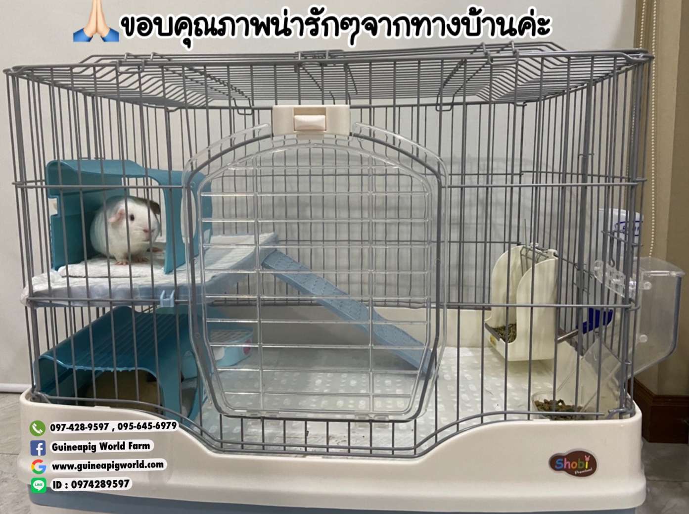 JP154 Cool House Size:230x162xh.156mm.สำหรับแกสบี้,ชินชิลล่า มีตัวล็อคติดกับกรงได้ค่ะ