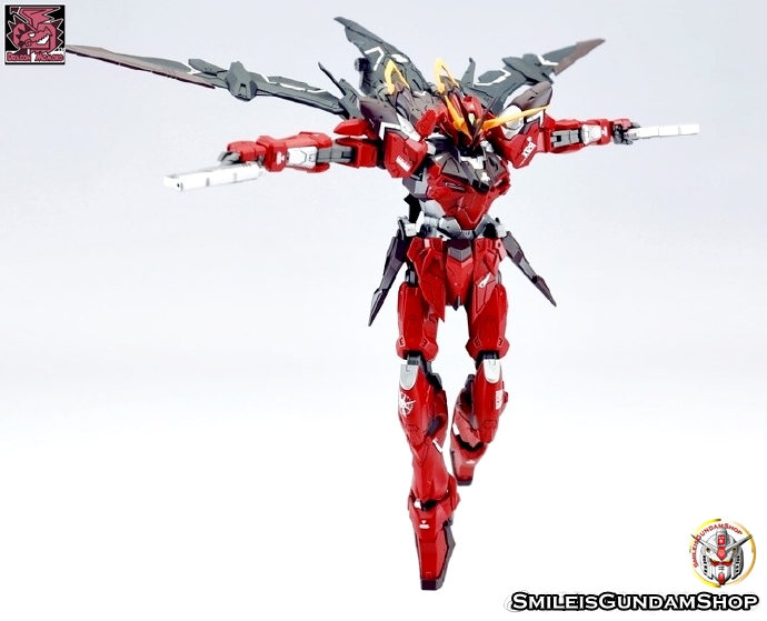 [PO]MG 1/100 ZGMF-X12A Testament[โมจีนMomoko]