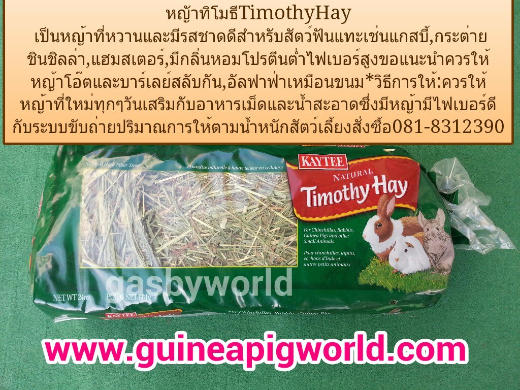หญ้าทิโมธี Kaytee Timothy 24oz