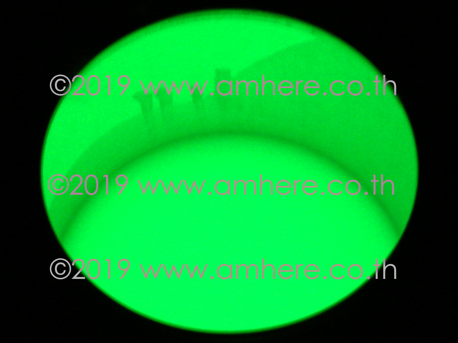 📌Hybrid Super Glow Paint 1kg (Super Bright Glow in the Dark) สีเรืองแสงสีเขียวพรายน้ำ เชื้อน้ำมัน/เชื้อน้ำ สว่างสุดฯ