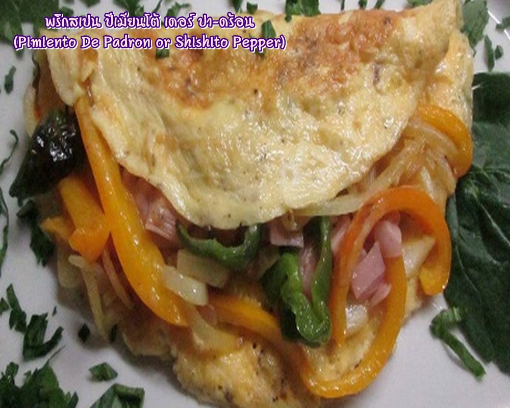 พริกสเปน ปีเมียนโต้ เดอร์ ปา-ดร้อน (Pimiento De Padron or Shishito Pepper) ชิชิโต้ (Shishito)