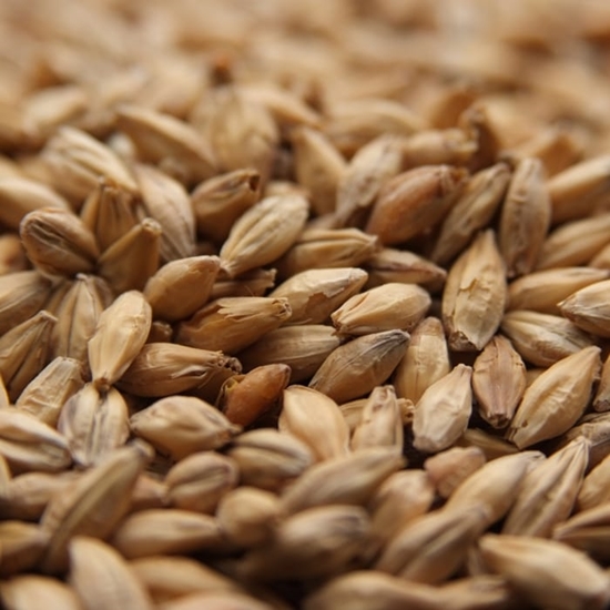 Weyermann® Vienna Malt (1lb)