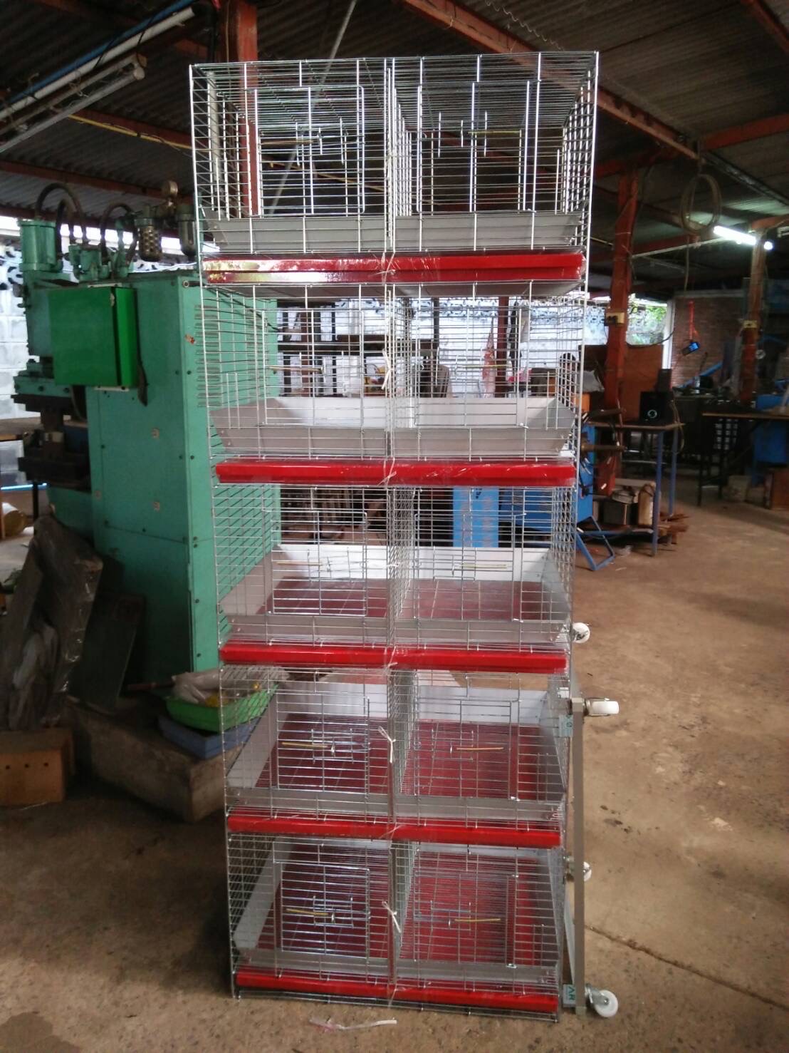 🐹กรงแกสบี้/เควี่ 4 ชั้น กว้าง 60 ซม. ลึก 50 ซม. ไม่กั้นครึ่งชุดละ 8,400.-บาท