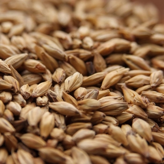 Weyermann® Melanoidin Malt (1lb)