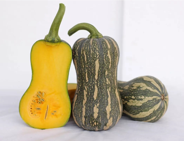 ฟักทอง บัตเตอร์นัท สีเขียว (Green Butternut Squash) OP