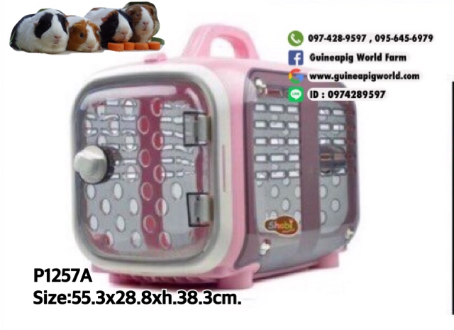 P12557A กรงแคบซูนนำเข้า55.3x28.8xh.38.3cm.มีประตูเปิด2ด้าน,มีพื้น,มีถาด