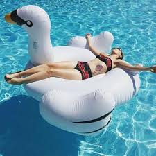 แพหงส์เป่าลม