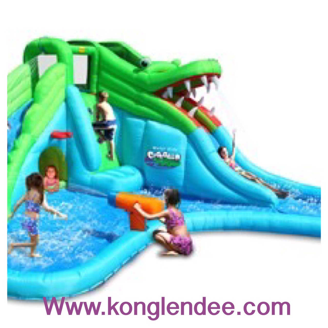 บ้านลมจรเข้