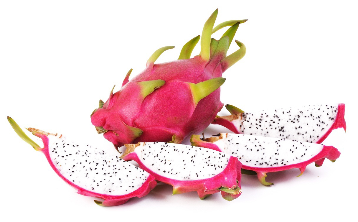กิ่งชำ แก้วมังกรขาว จัมโบ้ (Dragon fruit Jumbo) ตรงตามสายพันธุ์แท้ 100%