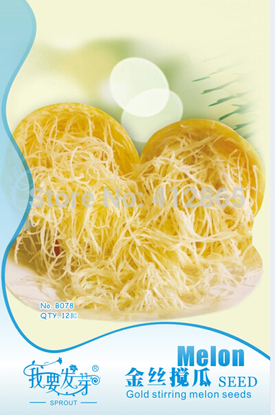 ฟักทอง สปาเก็ตตี้