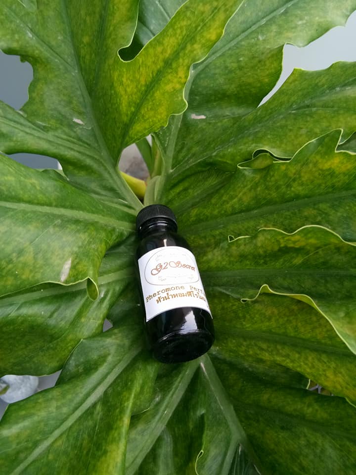 G2secret หัวน้ำหอมฟีโรโมน 25ml สุดคุ้ม หอมละมุน ใช้ได้ทั้งหญิงและชาย สาวสอง เพิ่มเสน่ห์ ดึงดูด