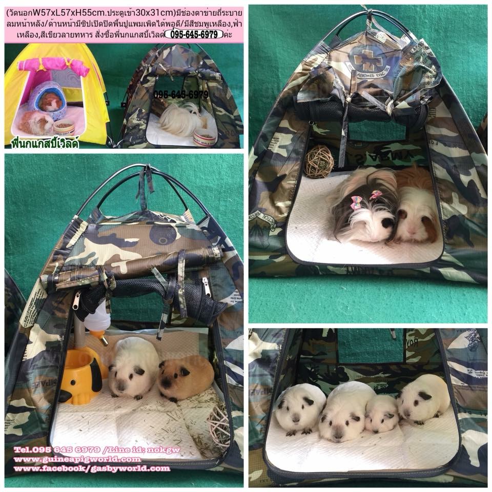 เต้นท์ผ้าใบพับเก็บได้ W.57xL.57xH.55cm.(ประตูเข้า30x31cm.)มีช่องตาข่ายถี่ระบายลมหน้าหลัง/ด้านหน้ามีซิปเปิดปิดพื้นสามารถปูแผ่นรองซับได้ มีสีเขียวลายทหาร,สีชมพูเหลือง,สีฟ้าเหลือง ค่ะ
